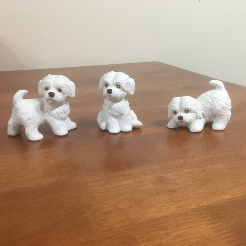Porcelain White Puppies